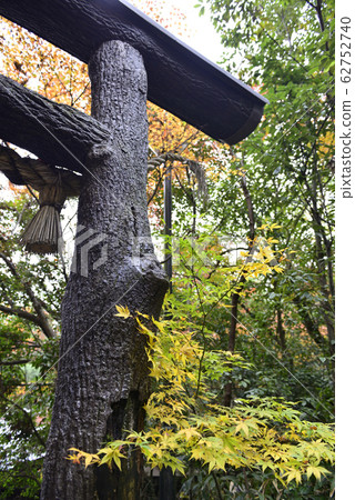 Nomiya Shrine Torii of Kuroki Nomiya Shrine Torii of Kuroki 62752740