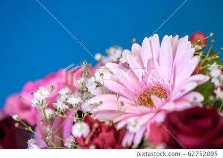 花籃 花籃 62752895