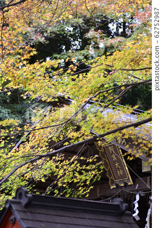 Nomiya shrine main hall 62752987