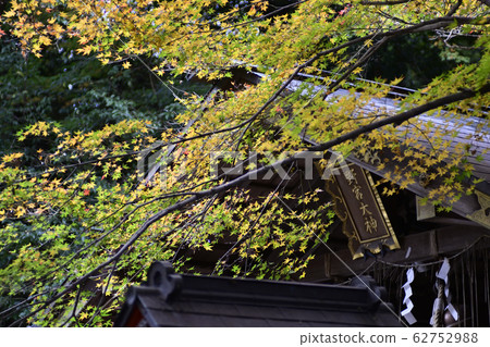 Nomiya shrine main hall 62752988
