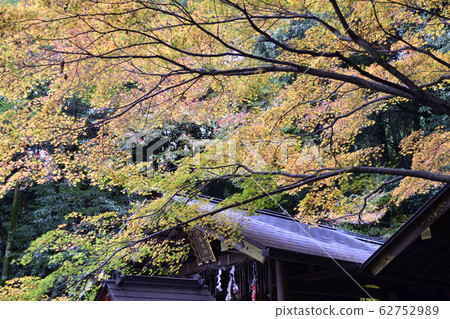 Nomiya shrine main hall 62752989
