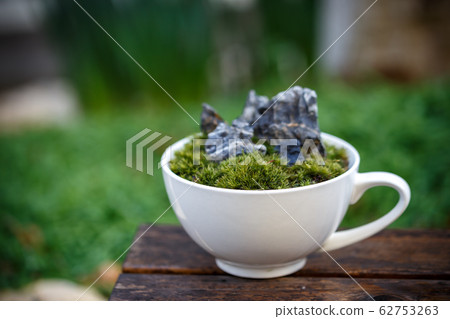 青苔盆景日式圖像 青苔盆景日式圖像 62753263