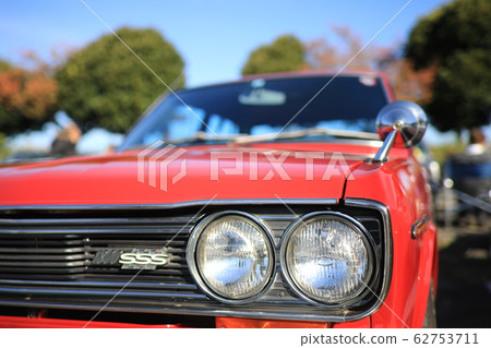 Bluebird 62753711