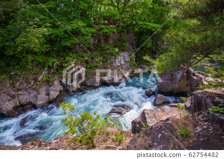 岩手縣岩手市一關的春天，鮮綠色 62754482