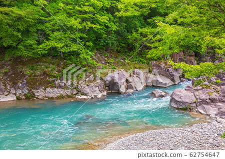 Spring in Ichinoseki, Iwate, Genbikei Gorge in fresh green 62754647