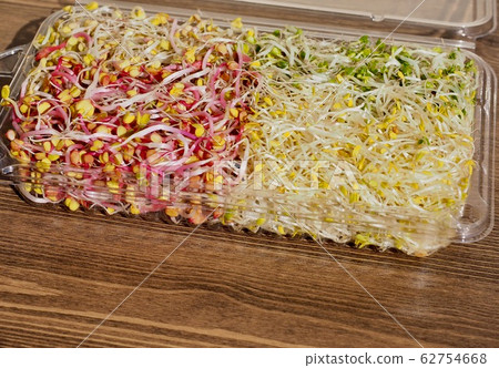 Fresh spring sprout salad background Fresh spring sprout salad background 62754668