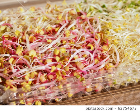 Fresh spring sprout salad background Fresh spring sprout salad background 62754672