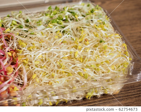Fresh spring sprout salad background Fresh spring sprout salad background 62754673