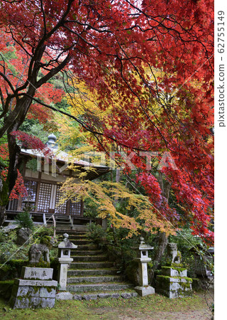 佛教牧師 62755149