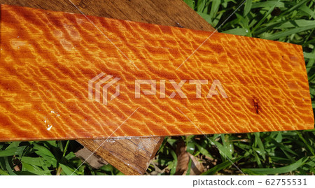 Nature Burma padauk wood has tiger stripe or curly stripe grain Nature Burma padauk wood has tiger stripe or curly stripe grain 62755531