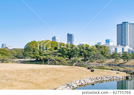東京，濱ari花園，橫Yo和建築物 62755768