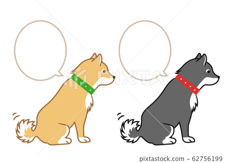 Shiba Inu Shiba Inu 62756199