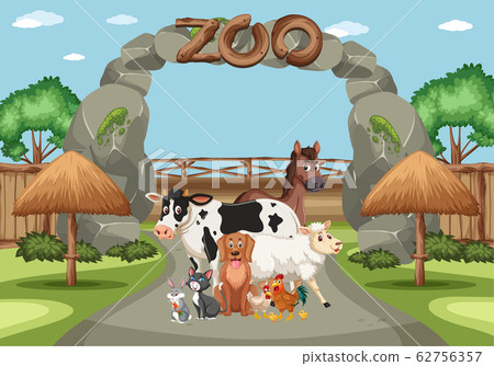 Scene with wild animals in the zoo at day time 62756357