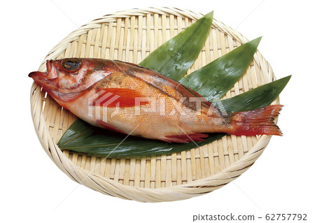 均等01（通過） 62757792