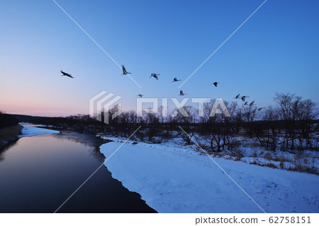 與棲息起重機混合爬行（北海道鶴井市） 62758151