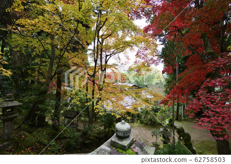 佛教牧師 62758503