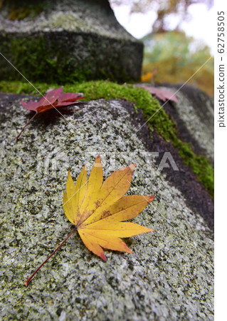 Buddhist priest 62758505