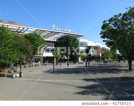Fresh green of Zelkova is beautiful Nagareyama Ootaka Forest Station South exit city square Fresh green of Zelkova is beautiful Nagareyama Ootaka Forest Station South exit city square 62758723