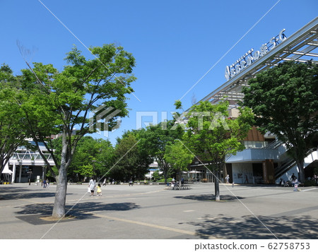 Zelkova的新鮮綠色是美麗的Nagareyama Ootaka森林站南口城市廣場 Zelkova的新鮮綠色是美麗的Nagareyama Ootaka森林站南口城市廣場 62758753