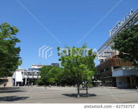 Zelkova的新鮮綠色是美麗的Nagareyama Ootaka森林站南口城市廣場 Zelkova的新鮮綠色是美麗的Nagareyama Ootaka森林站南口城市廣場 62758757