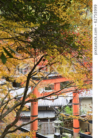 愛宕神社一個鳥居 愛宕神社一個鳥居 62758999