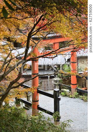 愛宕神社一個鳥居 愛宕神社一個鳥居 62759000