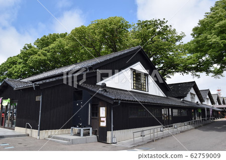 Yamai倉庫zelkova樹排行了樹 Yamai倉庫zelkova樹排行了樹 62759009