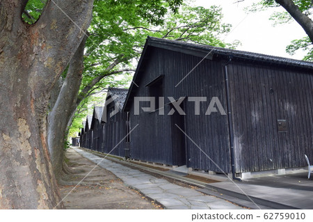 Yamai warehouse zelkova tree lined trees Yamai warehouse zelkova tree lined trees 62759010