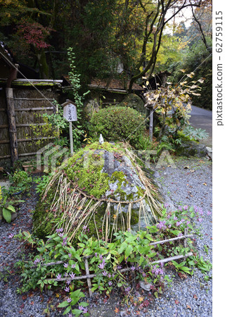 Hiranoya Hiranoya 62759115