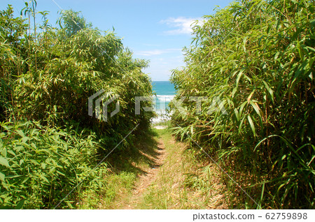 出海之路 出海之路 62759898
