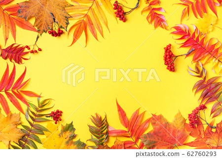 Creative layout of colorful autumn leaves over yellow background. Top view. Flat lay. Autumn concept. Season pattern 62760293