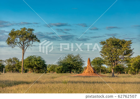 African landscape, Namibia, Africa wilderness 62762507