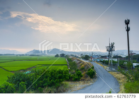 在森林附近,大量油性稻田,高壓塔和高地上。 在森林附近,大量油性稻田,高壓塔和高地上。 62763779