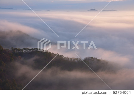 雲海中的早晨-從大山山的南側看到閃閃發光的雲海和通往山頂的山脊 62764004