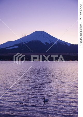 Mt. Fuji and Swan (Winter) from Lake Yamanaka (Nagaike Water Park) Mt. Fuji and Swan (Winter) from Lake Yamanaka (Nagaike Water Park) 62764228