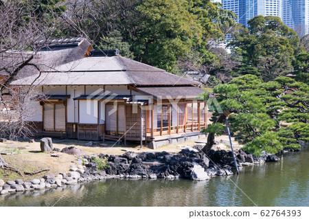 東京都，濱ari公園，大泉，燕茶 62764393