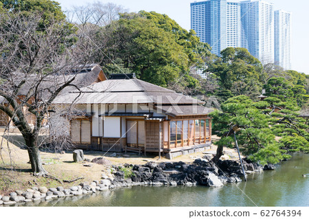 東京都，濱ari公園，大泉，燕茶 62764394