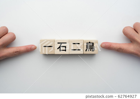 圖片：兩隻鳥和一塊石頭 62764927