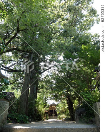 Shikoku Eighty-eight Places Sacred Site No. 46 Fudasho Joruri-ji Temple 62765355