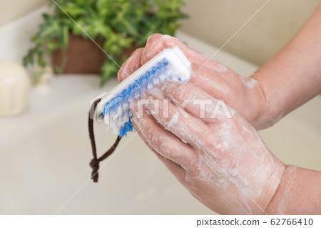 [Pawl brush hand wash] 62766410