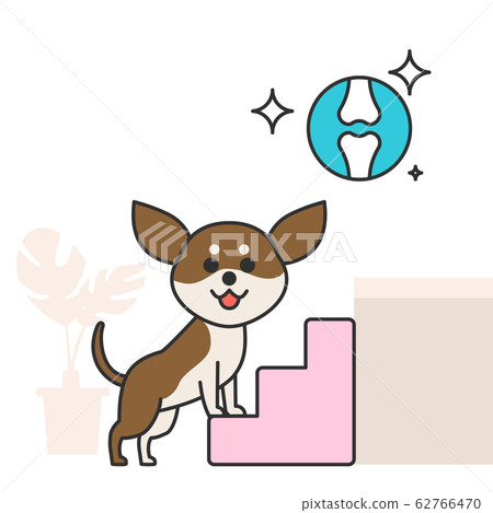 Cute and lovely animals, pets icon illustration 031 Cute and lovely animals, pets icon illustration 031 62766470