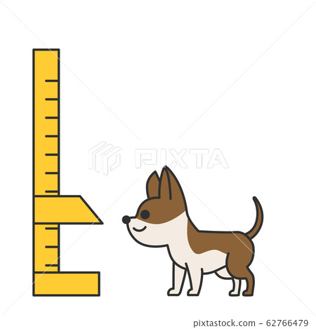 Cute and lovely animals, pets icon illustration 024 Cute and lovely animals, pets icon illustration 024 62766479