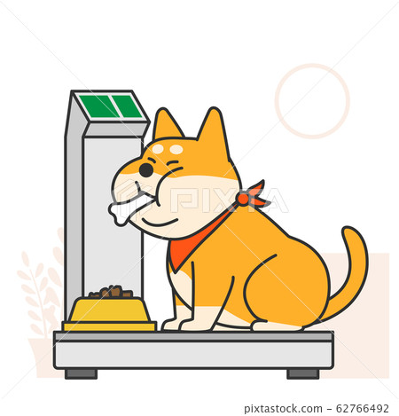 Cute and lovely animals, pets icon illustration 035 Cute and lovely animals, pets icon illustration 035 62766492