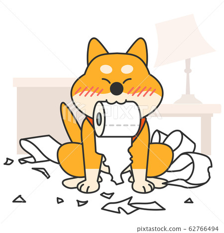 Cute and lovely animals, pets icon illustration 027 62766494