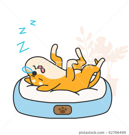 Cute and lovely animals, pets icon illustration 020 62766499