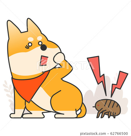 Cute and lovely animals, pets icon illustration 011 62766500