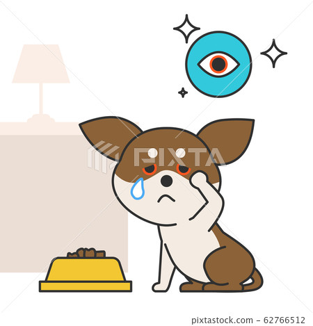 Cute and lovely animals, pets icon illustration 034 62766512