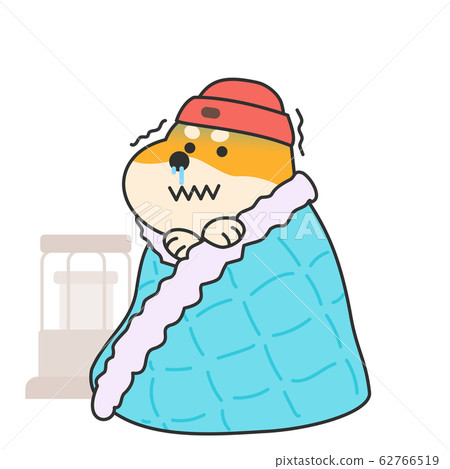 Cute and lovely animals, pets icon illustration 010 62766519