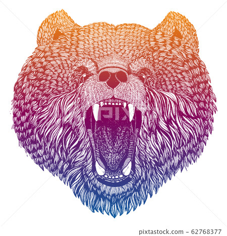 Bear. Big wild animal portrait. Hand drawn image for tattoo, t-shirt, emblem, badge, logo, patch. Bear. Big wild animal portrait. Hand drawn image for tattoo, t-shirt, emblem, badge, logo, patch. 62768377
