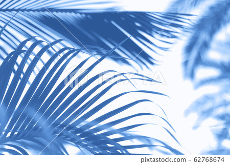 Palms with colorful pop art effect. Vintage stylized photo with light leaks. Summer palm trees over monochrome color sky. Copy space. Trendy classic blue background. Palms with colorful pop art effect. Vintage stylized photo with light leaks. Summer palm trees over monochrome color sky. Copy space. Trendy classic blue background. 62768674